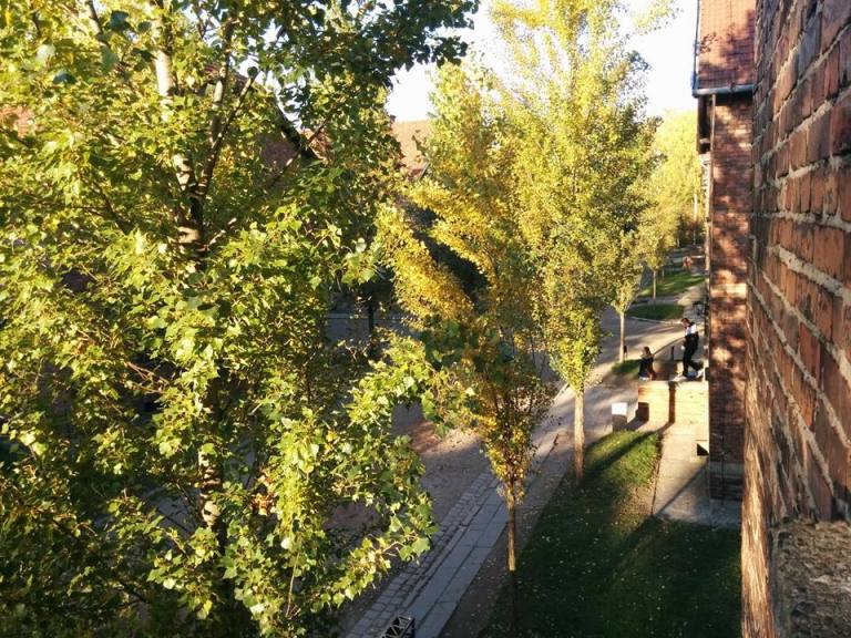 11049613_10208070014526804_8703118648550622715_n