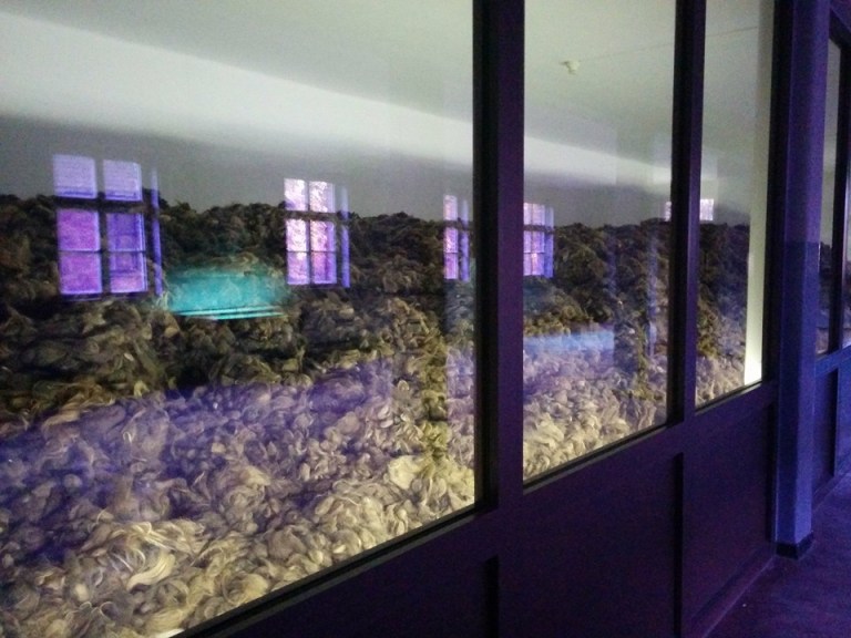 11207360_10208070013006766_5653510283503343345_n