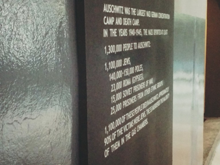 11219335_10208070010206696_1324612665527669084_n