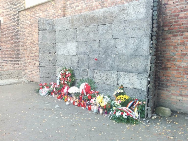 11251048_10208070022967015_1588024433911831383_n