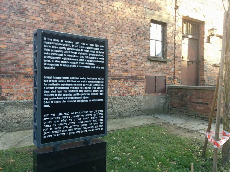 12066060_10208070021006966_7496314032774366697_n