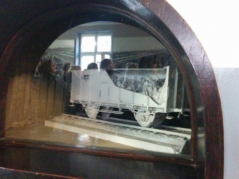 12189639_10208070010966715_7566955410468452452_n