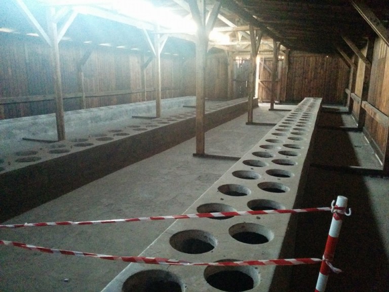 12189647_10208070026807111_3028368389742563202_n