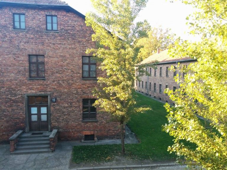 12189883_10208070014846812_1860980848912971284_n