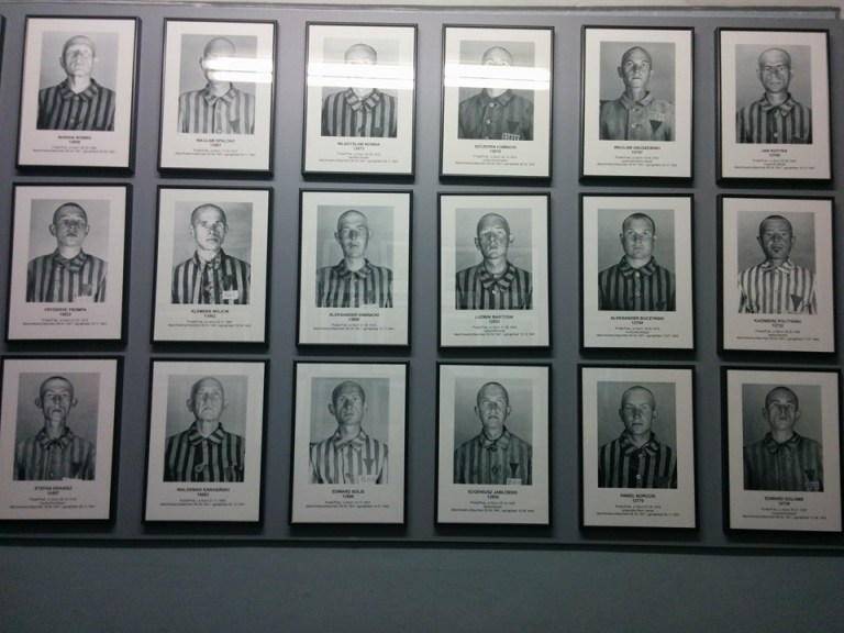 12191676_10208070016486853_2066354910778710063_n